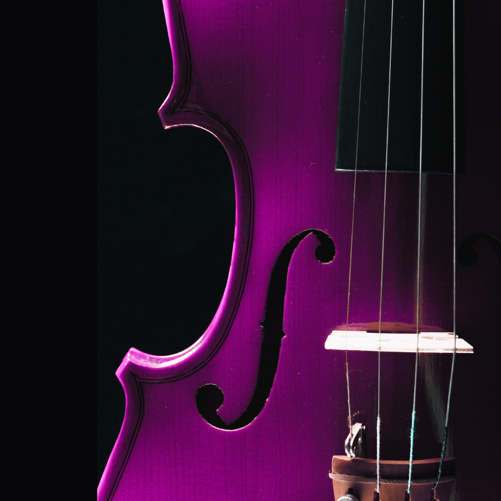 Reinstein Instrument Einstein in Oxford: Thinking in Music | History of Science Museum