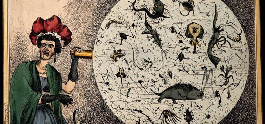 typhoid mary max 1200x800