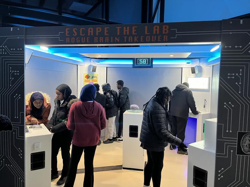 My Place, My Science Brain Science event 21 November 2024: the Escape Room