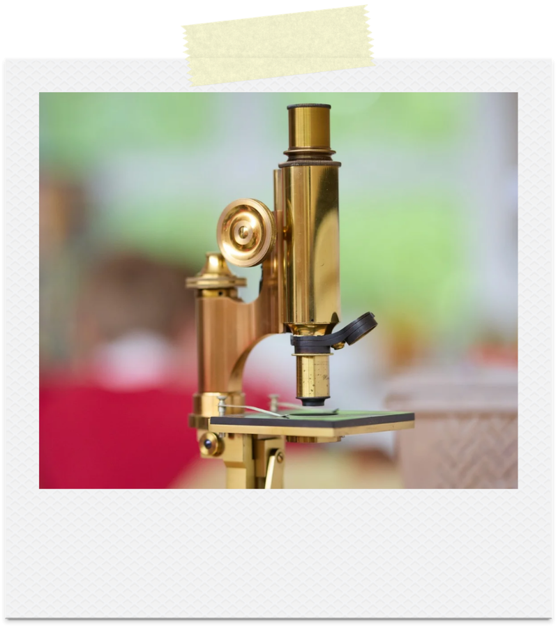 Greenbaum microscope