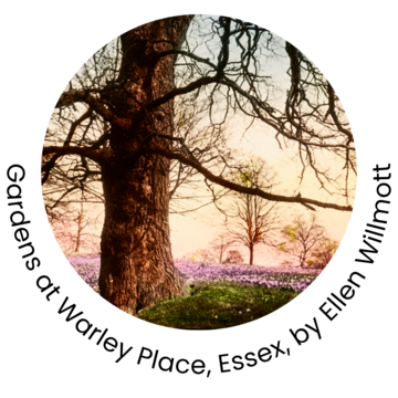 Gardens at Warley Place, Essex by Ellen Willmott
