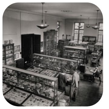 History of Science Museum (Old Ashmolean building) Top gallery c. 1951